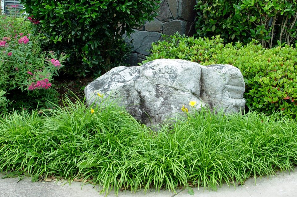 boulder accent in the garden landscape